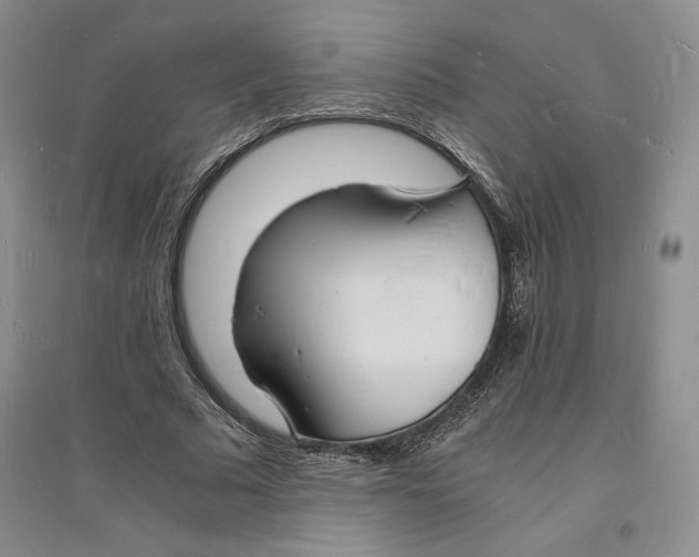X0000094060681200711091128