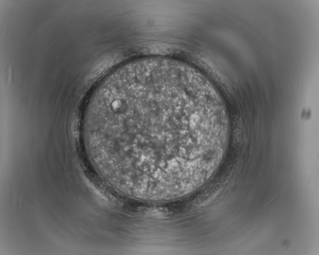 X0000094060683200711091128