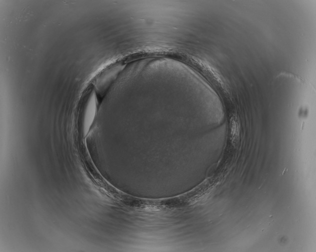 X0000094060684200711091128