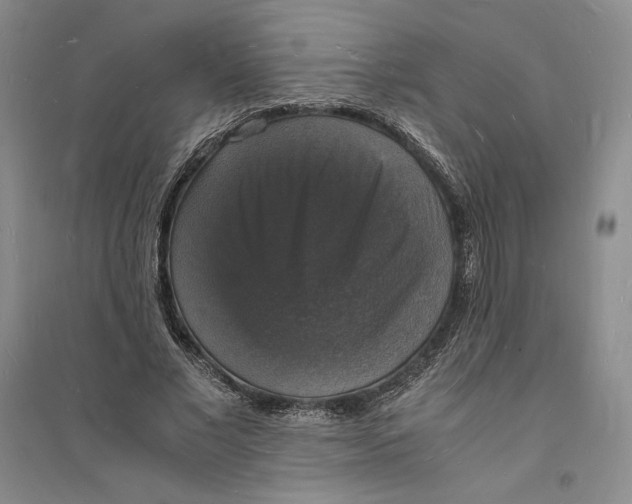 X0000094060685200711091128