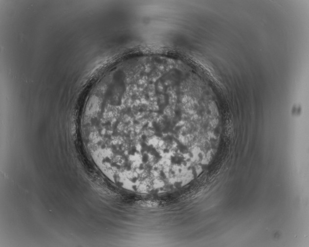X0000094060687200711091128