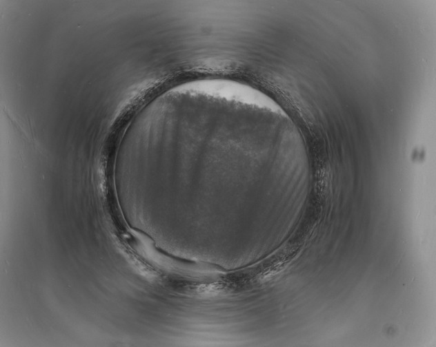 X0000094060688200711091128