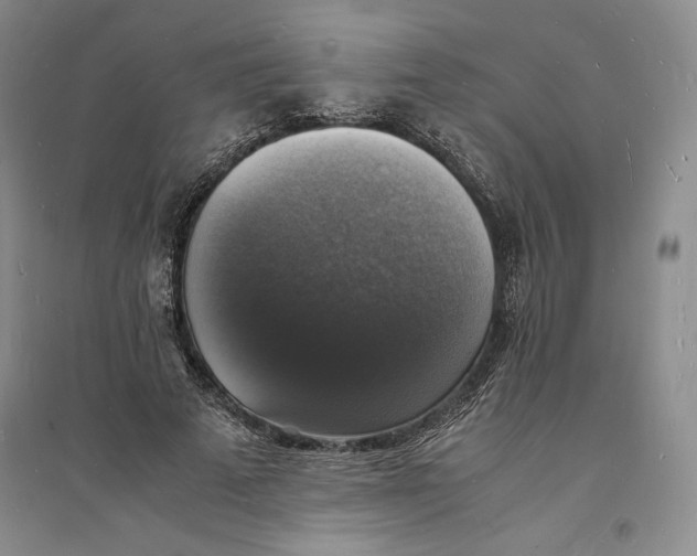 X0000094060689200711091128