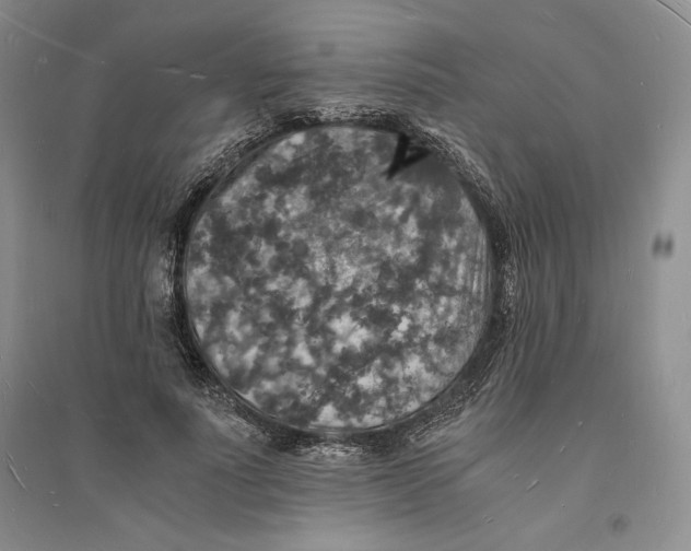 X0000094060691200711091128