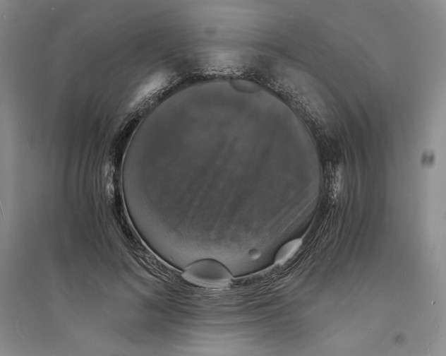 X0000094060692200711091128