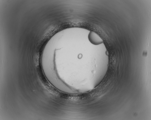 X0000094060694200711091128