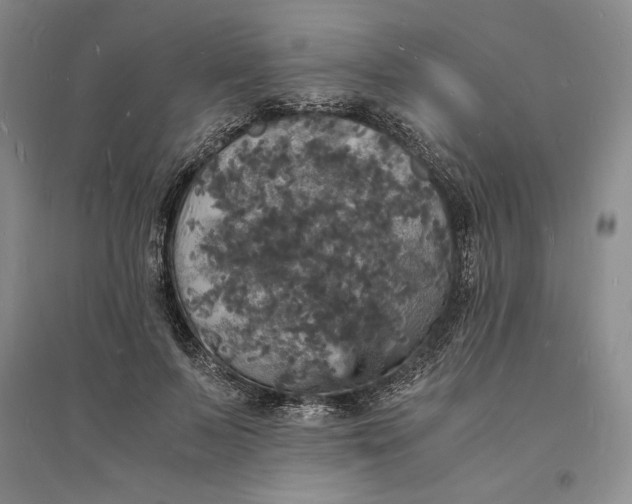 X0000094060695200711091128