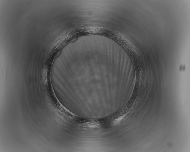 X0000094060696200711091128