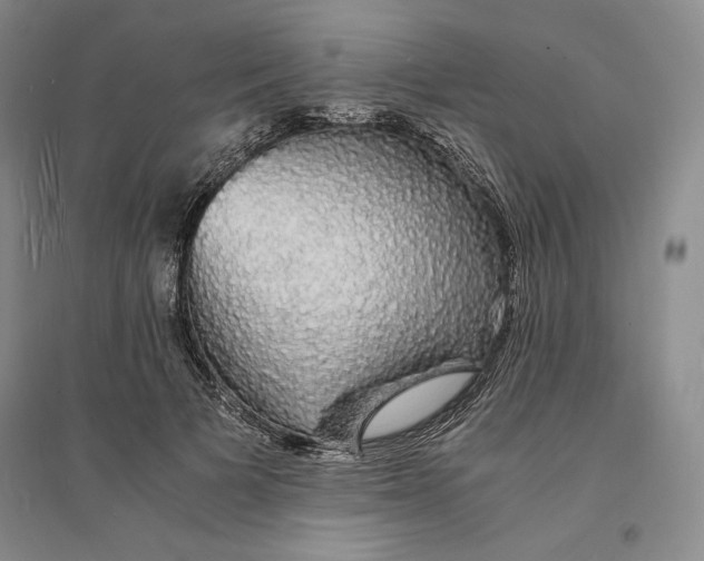 X0000094060697200711091128