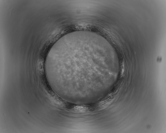 X0000094060699200711091128