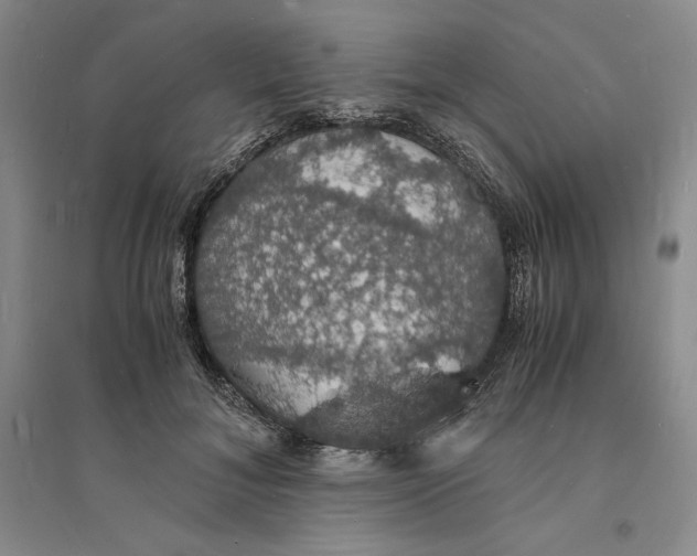 X0000094060700200711091128