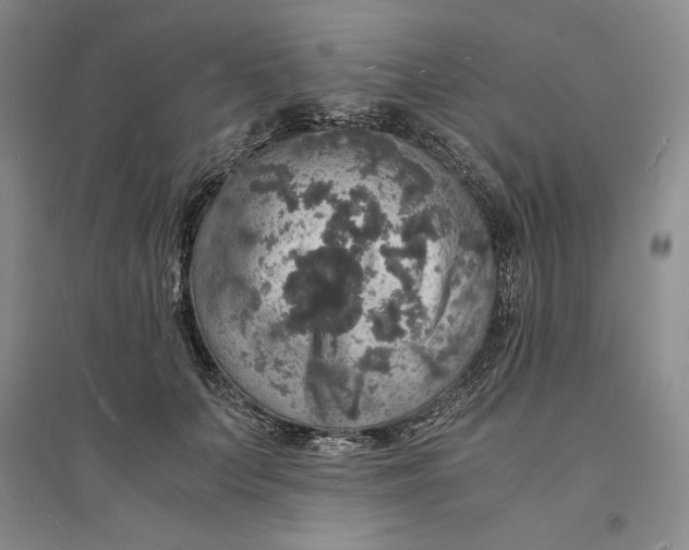 X0000094060703200711091128
