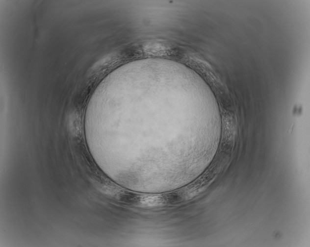 X0000094060705200711091128