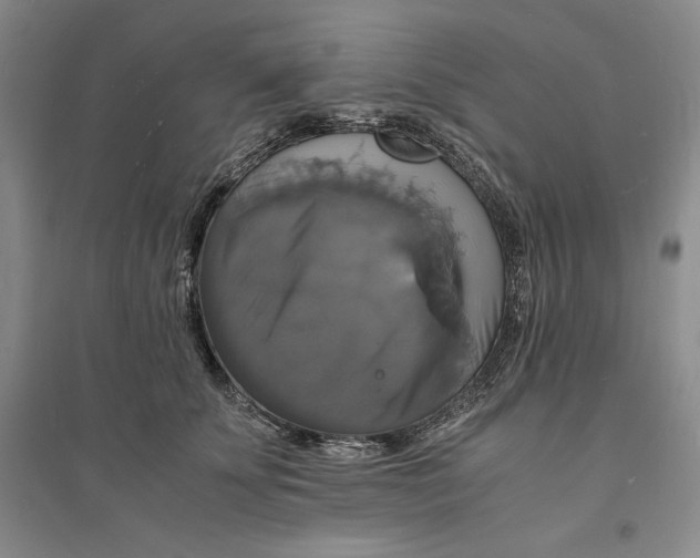 X0000094060707200711091128
