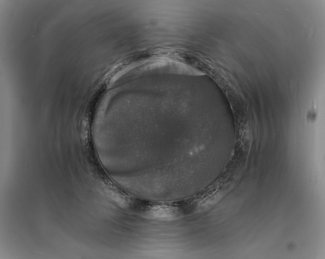 X0000094060708200711091128