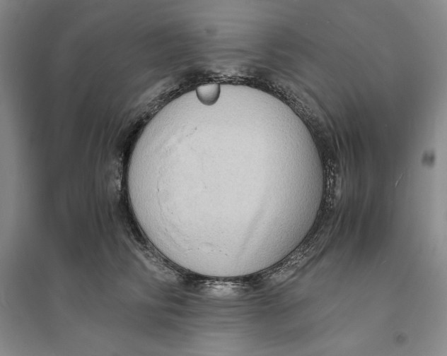 X0000094060710200711091128