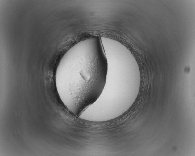 X0000094060711200711091128