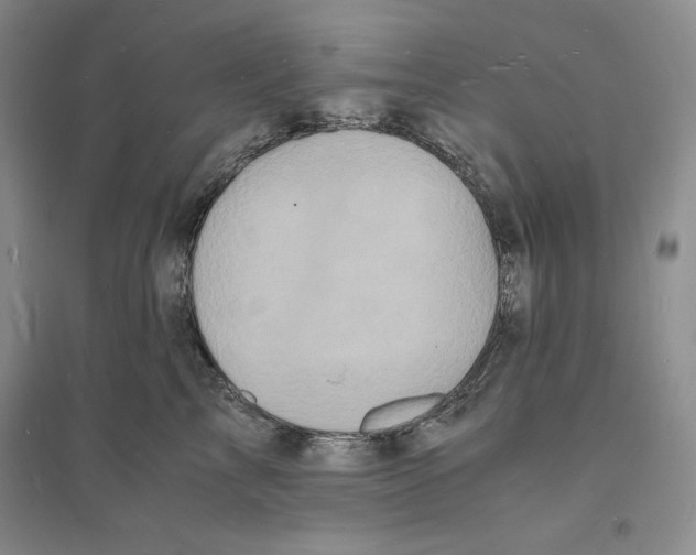 X0000094060713200711091128