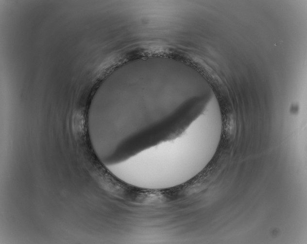 X0000094060715200711091128