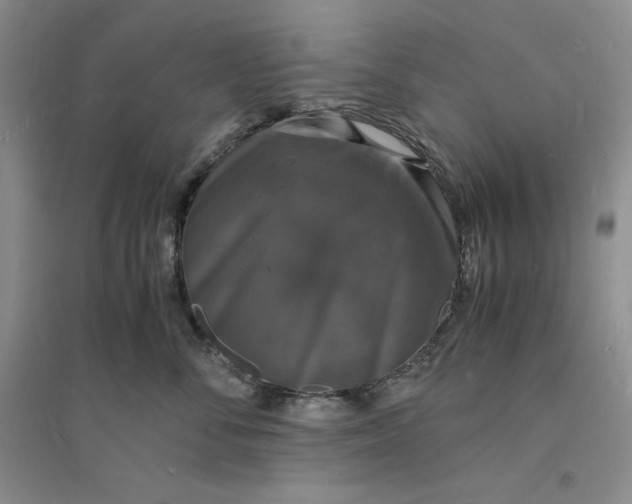 X0000094060716200711091128