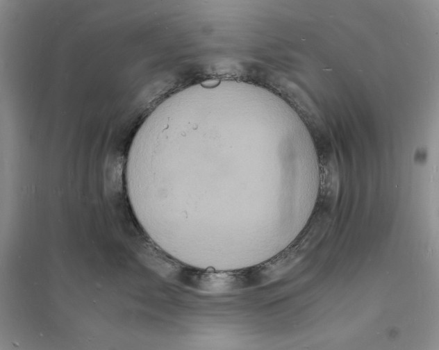 X0000094060717200711091128