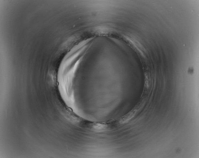 X0000094060718200711091128