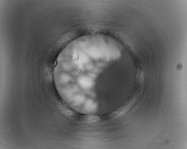 X0000094060719200711091128