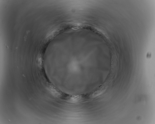 X0000094060720200711091128
