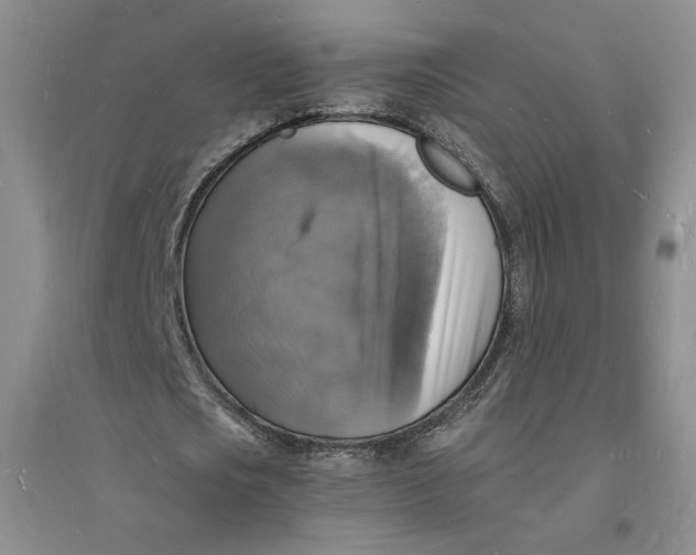 X0000094060721200711091127