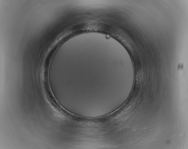 X0000094060722200711091127