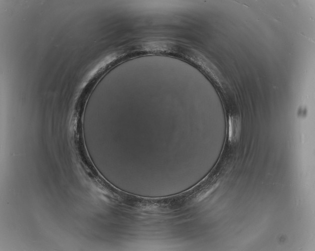 X0000094060723200711091127