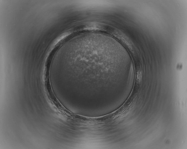 X0000094060724200711091127