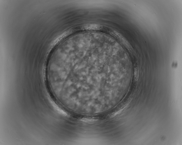 X0000094060725200711091127