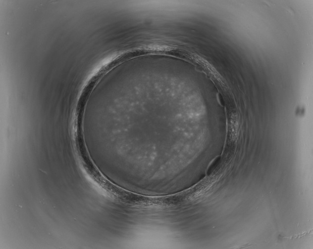 X0000094060726200711091127