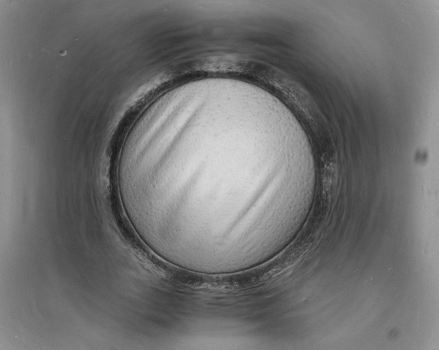 X0000094060727200711091127