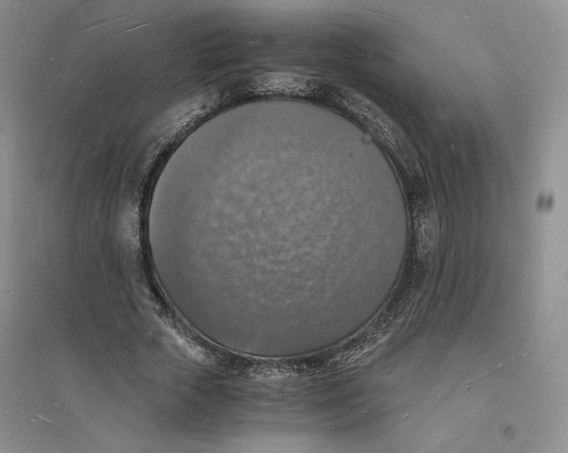 X0000094060729200711091127