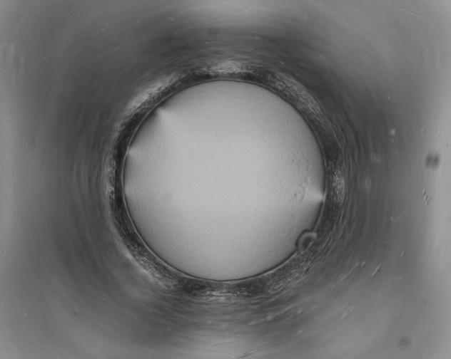 X0000094060732200711091127