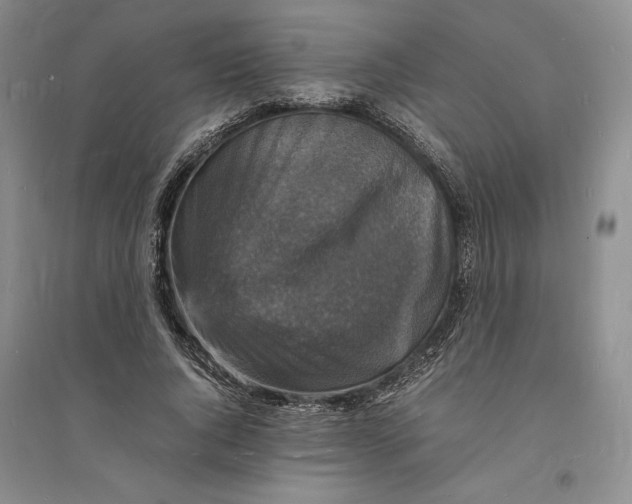X0000094060736200711091127