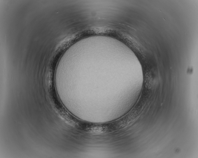 X0000094060740200711091127