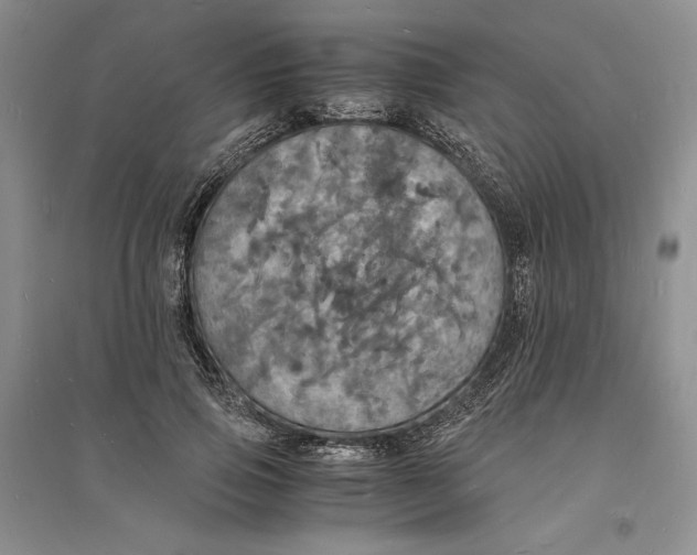 X0000094060741200711091127