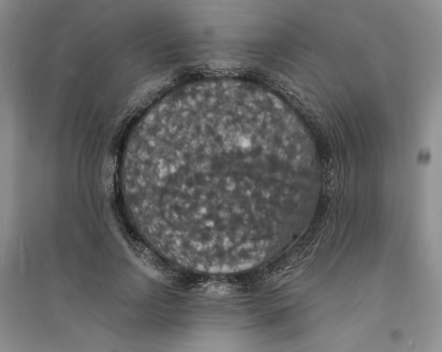 X0000094060742200711091127