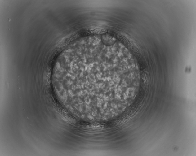 X0000094060745200711091127