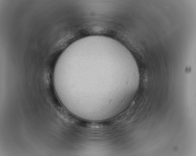 X0000094060746200711091127