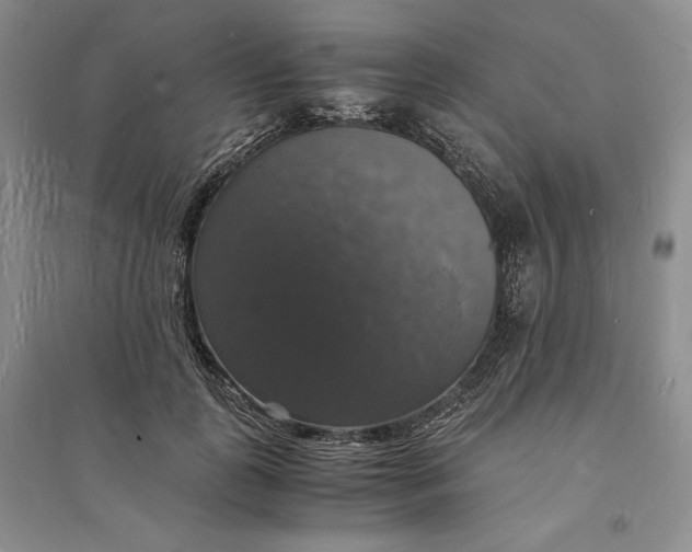 X0000094060747200711091127