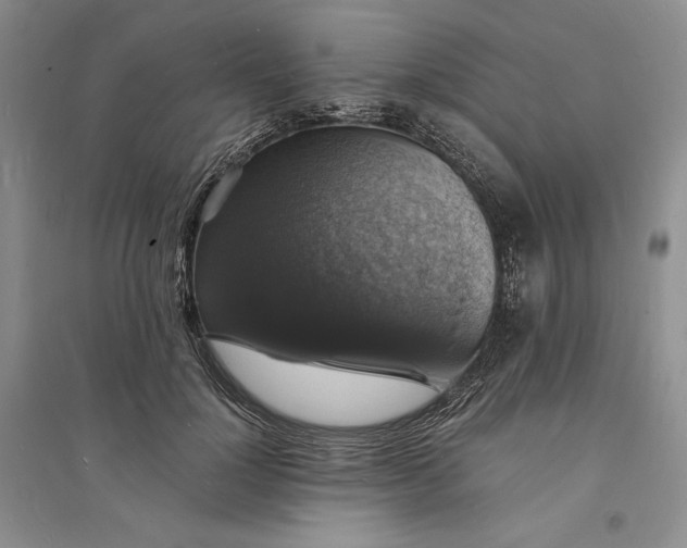 X0000094060748200711091127