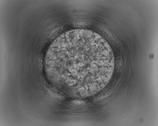 X0000094060749200711091127