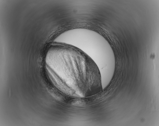 X0000094060750200711091128