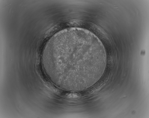 X0000094060751200711091128