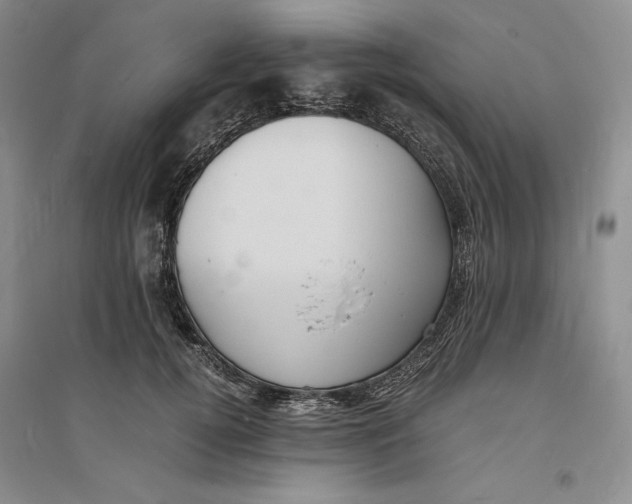 X0000094060752200711091128