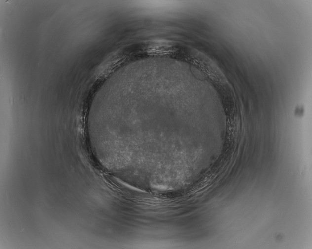 X0000094060755200711091128